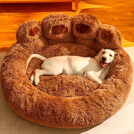 Plush Bear Paw Pet Bed & Lounger